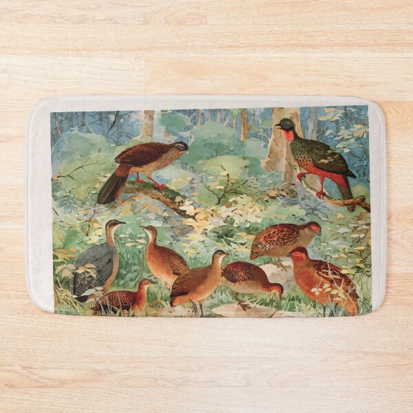 Item preview, Birds of the Amazon Album de aves amazonicas Emil Goldi 1906 050 Jacu Aracua Inhambus diversos Suruina Uru Capoeira designed and sold by WetdryvacRB01.