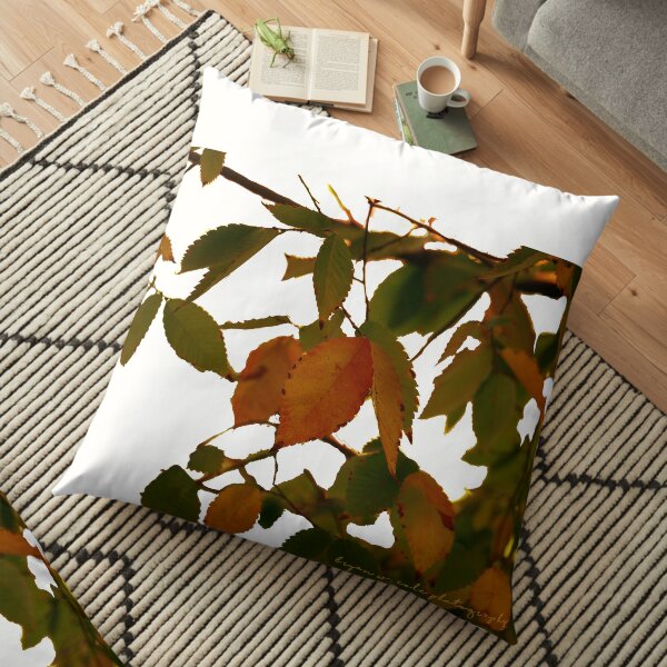 Fall Early Colors 20 Floor Pillow
