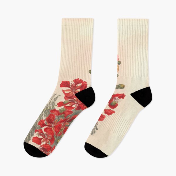 Item preview, Brazilian flowers drawn from nature in the years 1880 to 1882 in the neighbourhood of Rio de Janeiro E H Norton 004 designed and sold by WetdryvacRB01.