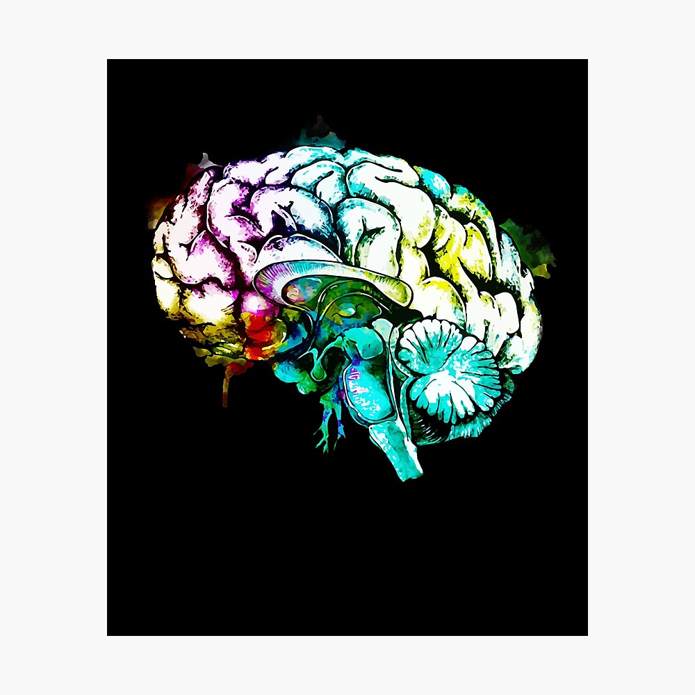 Psychology Brain Art