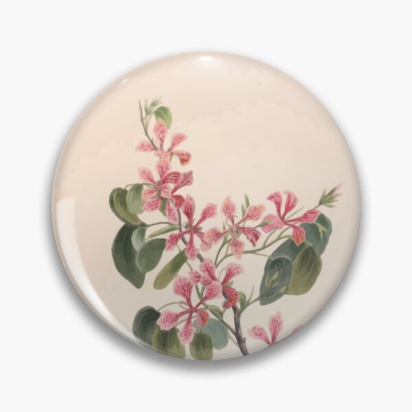 Item preview, Brazilian flowers drawn from nature in the years 1880 to 1882 in the neighbourhood of Rio de Janeiro E H Norton 005 designed and sold by WetdryvacRB01.