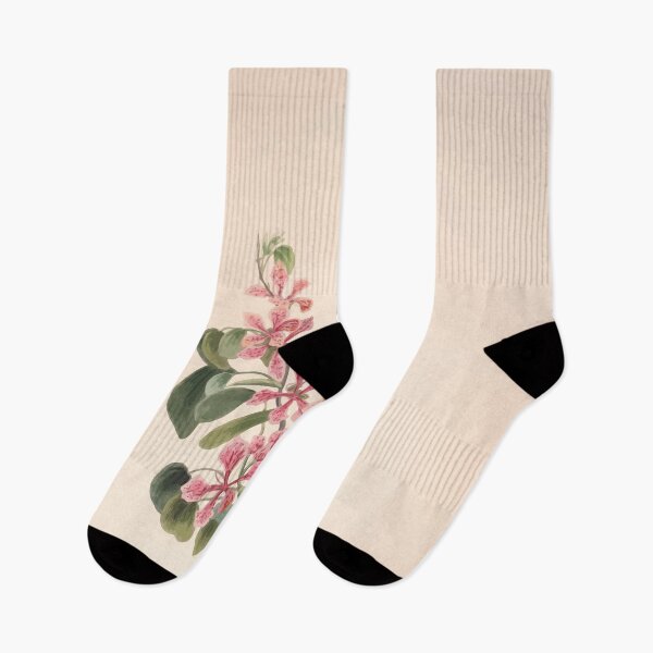 Item preview, Brazilian flowers drawn from nature in the years 1880 to 1882 in the neighbourhood of Rio de Janeiro E H Norton 005 designed and sold by WetdryvacRB01.