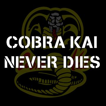 Pin on Cobra Kai Never Dies