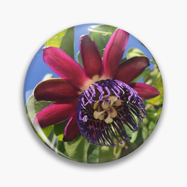 Item preview, Passion flower designed and sold by ColibriDesigns.