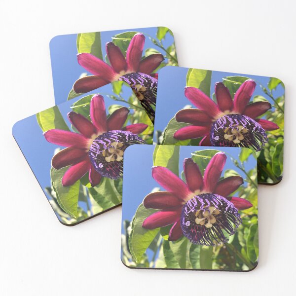 Item preview, Passion flower designed and sold by ColibriDesigns.