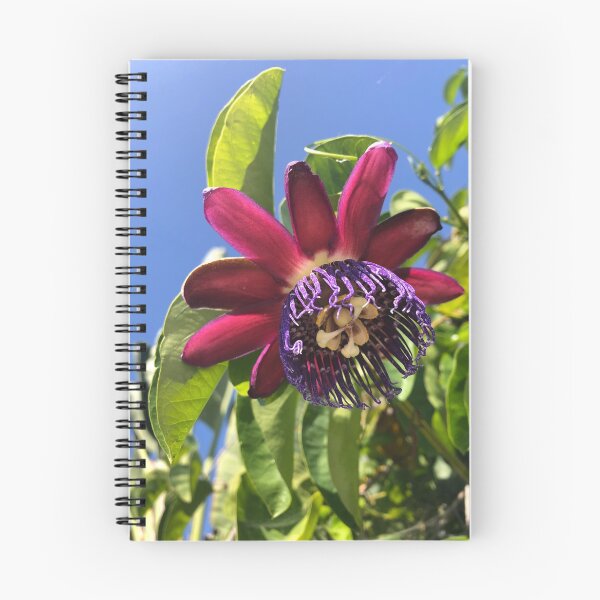 Item preview, Passion flower designed and sold by ColibriDesigns.
