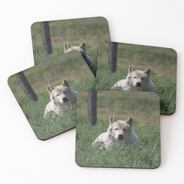 Item preview, Wolf Dog designed and sold by Carol Bock.