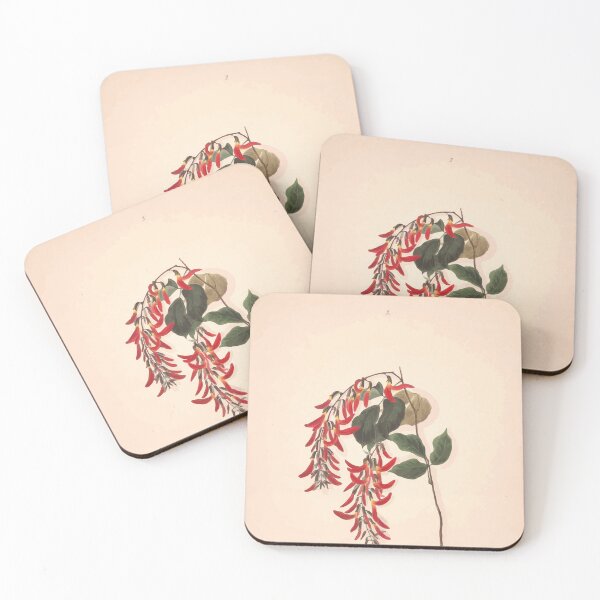 Item preview, Brazilian flowers drawn from nature in the years 1880 to 1882 in the neighbourhood of Rio de Janeiro E H Norton 006 designed and sold by WetdryvacRB01.