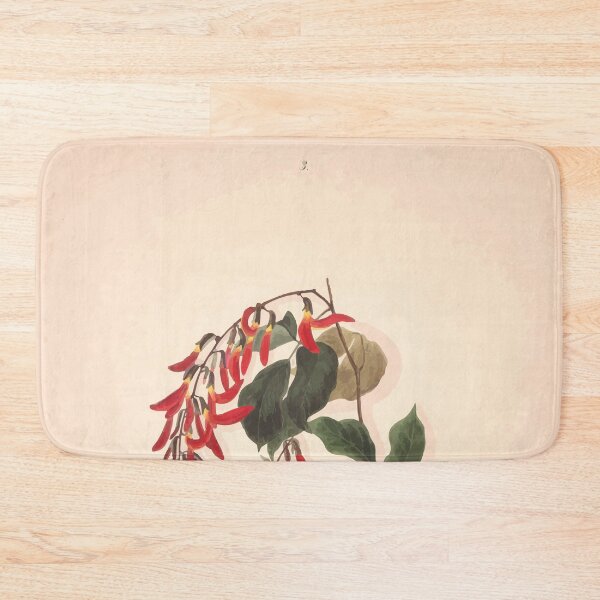 Item preview, Brazilian flowers drawn from nature in the years 1880 to 1882 in the neighbourhood of Rio de Janeiro E H Norton 006 designed and sold by WetdryvacRB01.