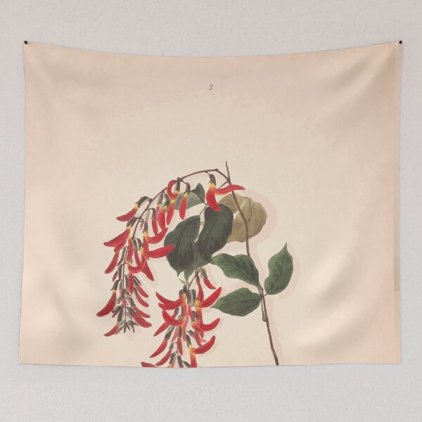 Item preview, Brazilian flowers drawn from nature in the years 1880 to 1882 in the neighbourhood of Rio de Janeiro E H Norton 006 designed and sold by WetdryvacRB01.