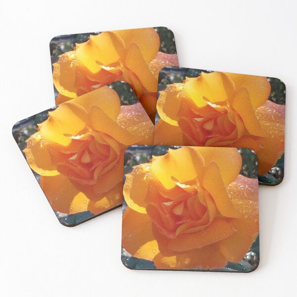 Item preview, Rose in Bloom designed and sold by cjmashinter.
