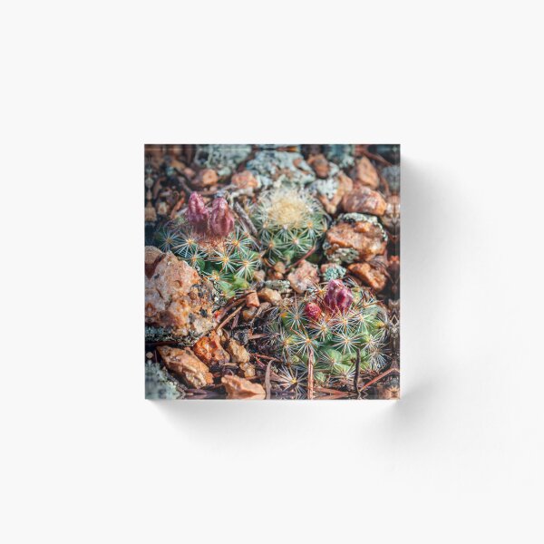 Item preview, Resilience designed and sold by HaleyGraceArt.