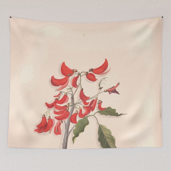 Item preview, Brazilian flowers drawn from nature in the years 1880 to 1882 in the neighbourhood of Rio de Janeiro E H Norton 007 designed and sold by WetdryvacRB01.