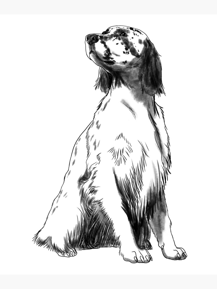 Jeu De Cartes à Jouer Starlight Earth Glow - édition Limitée Brillante, Parfaite Pour Le Poker Et La Collection