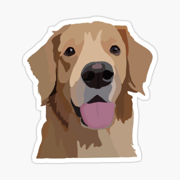 Husky Golden Retriever Gifts u0026 Merchandise  Redbubble