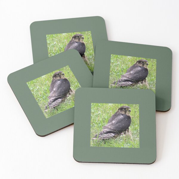 Item preview, Majestic Merlin Falcon designed and sold by cjmashinter.