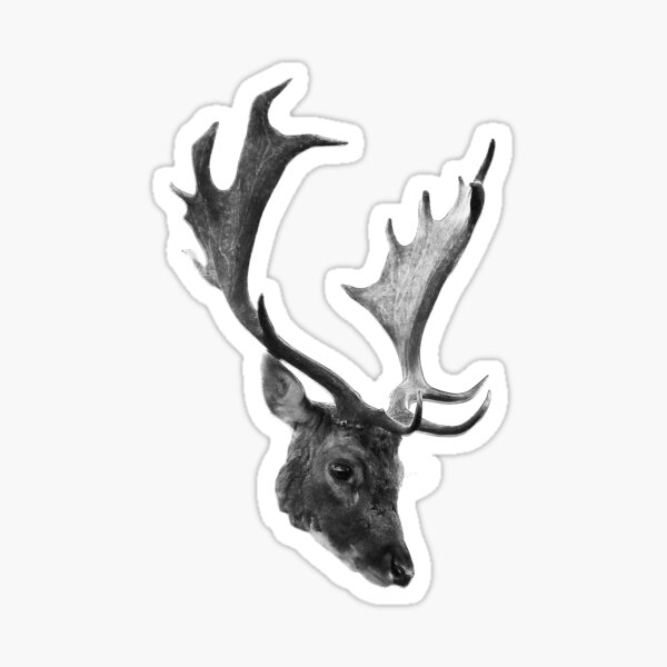 Item preview, stag's head designed and sold by Murph's Images.