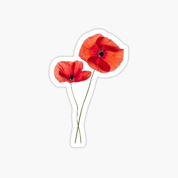 Item preview, Poppies designed and sold by aubreym2705.