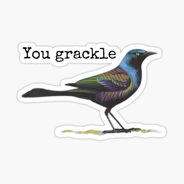 Item preview, You grackle. (Gina insult b99) designed and sold by stoPCereal.