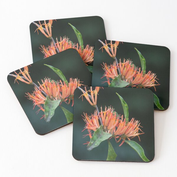 Item preview, Mistletoe Flowers designed and sold by DavePinsonPhoto.