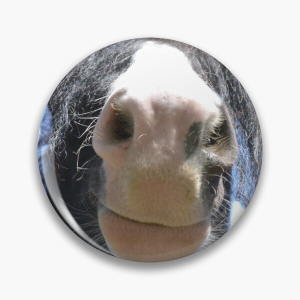 Item preview, Whatcha' Doing? (Photography: Unfiltered) designed and sold by Lori Ackley.