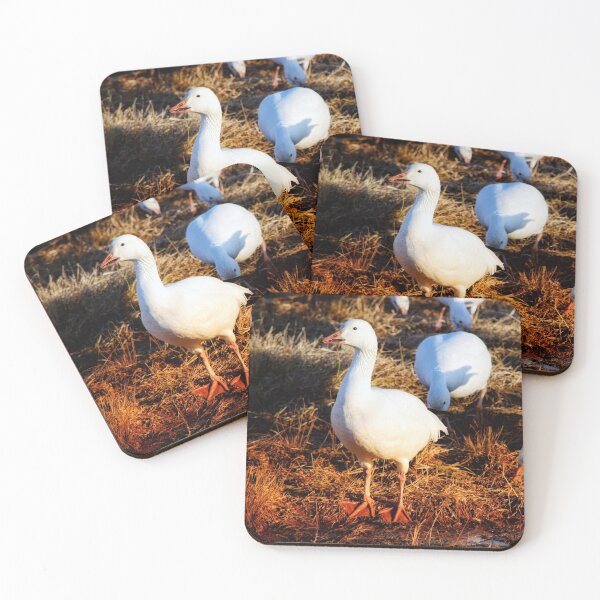 Item preview, Snow Goose in migration designed and sold by RickPics.