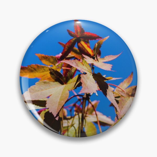 Artikelvorschau, Erstes Zeichen des Herbstes entworfen und verkauft von SRosuphotos.