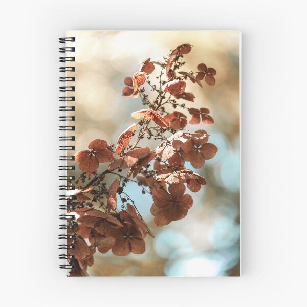 Item preview, Hydrangea Flowers in the Fall designed and sold by fotosbymaria.