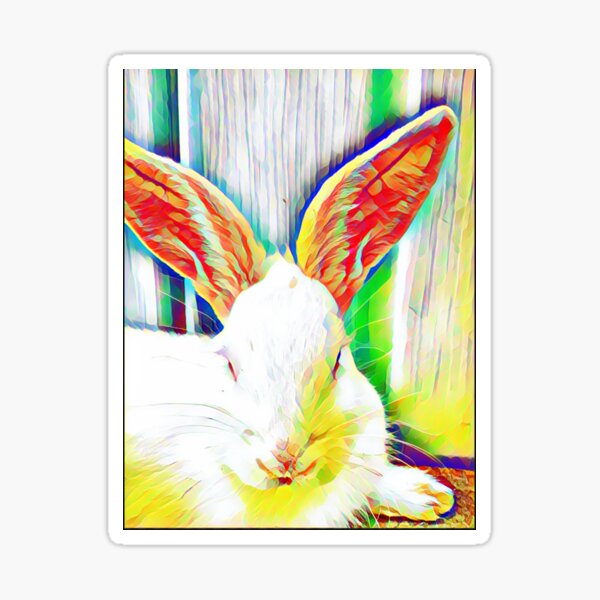 bunny rescues near me