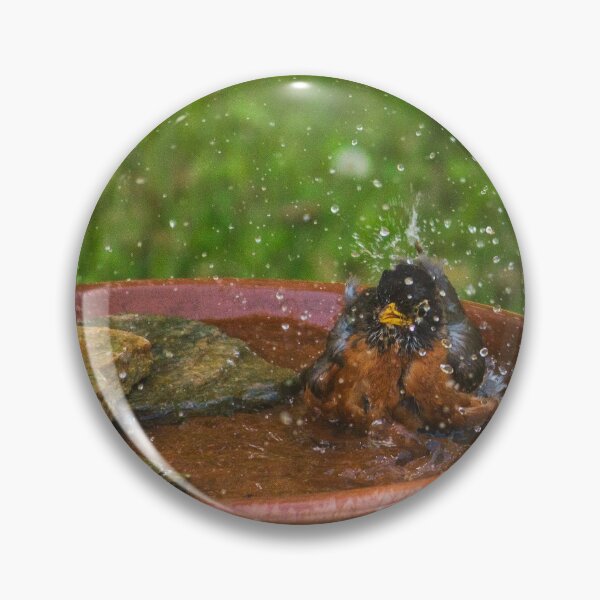 Item preview, Splish Splash Time to Take a Bird Bath designed and sold by fotosbymaria.