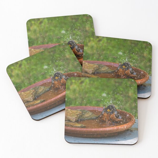 Item preview, Splish Splash Time to Take a Bird Bath designed and sold by fotosbymaria.
