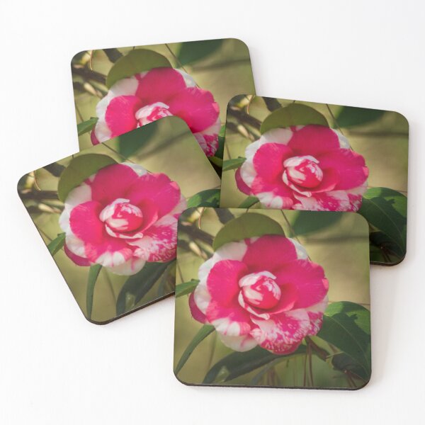 Item preview, Peppermint Camellia designed and sold by Scott Thomas Images.