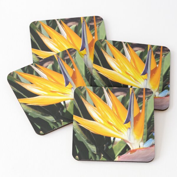 Item preview, Bird of Paradise (Photography:Unfiltered) designed and sold by Lori Ackley.