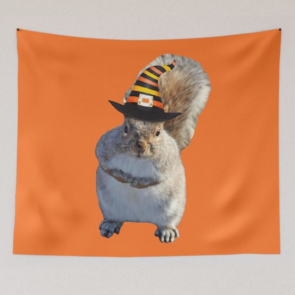 Item preview, Halloween Hat Squirrel designed and sold by Autumn Seas Photography.