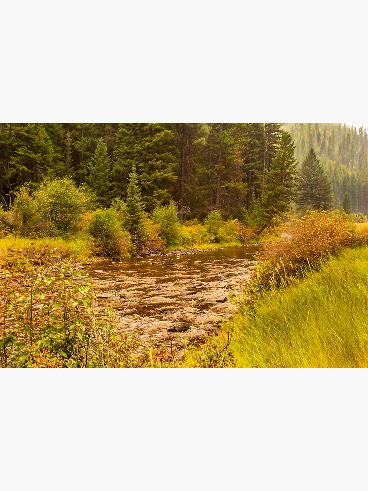 "Lolo Creek in the Smoke" Poster for Sale by mtbearded1 Redbubble