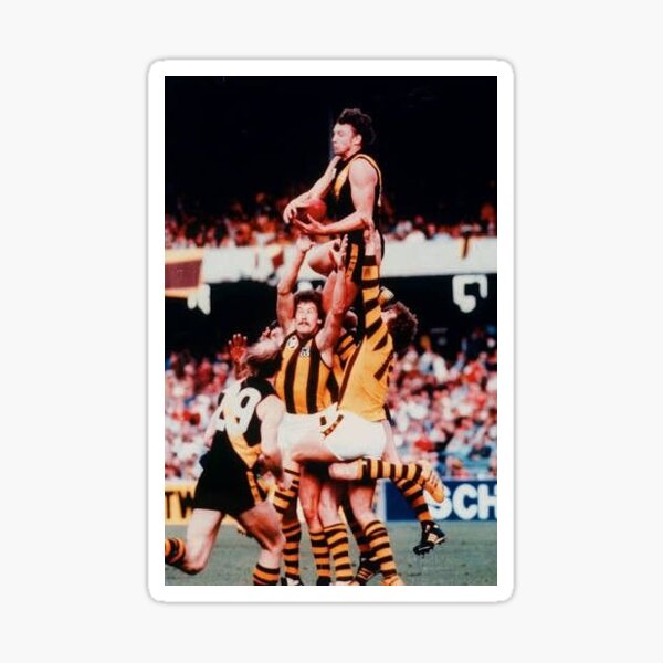 Item preview, Richmond VFL AFL Roach Tigers football designed and sold by royce74.