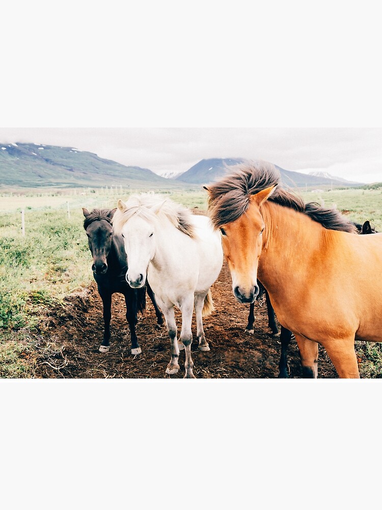 Fergus The Horse by MinimalistLive