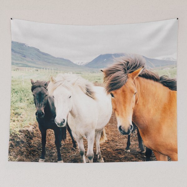 Item preview, Fergus The Horse designed and sold by Elena's Shop.