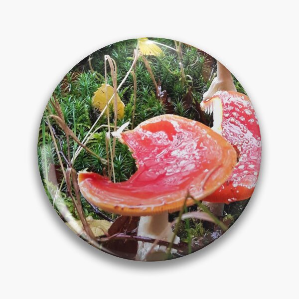 Item preview, Big Toadstools designed and sold by MonMonTales.