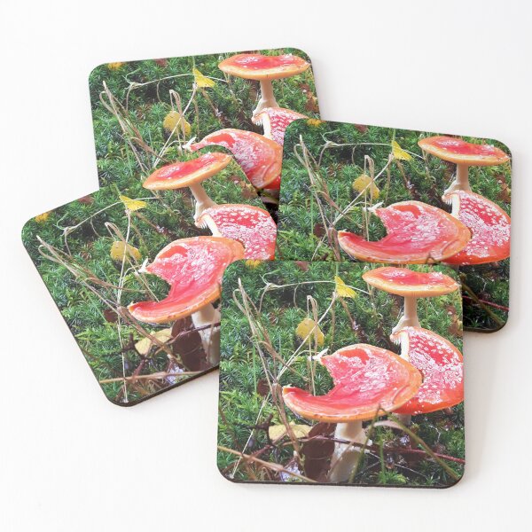 Item preview, Big Toadstools designed and sold by MonMonTales.