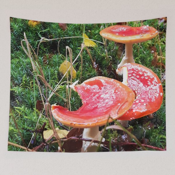 Item preview, Big Toadstools designed and sold by MonMonTales.