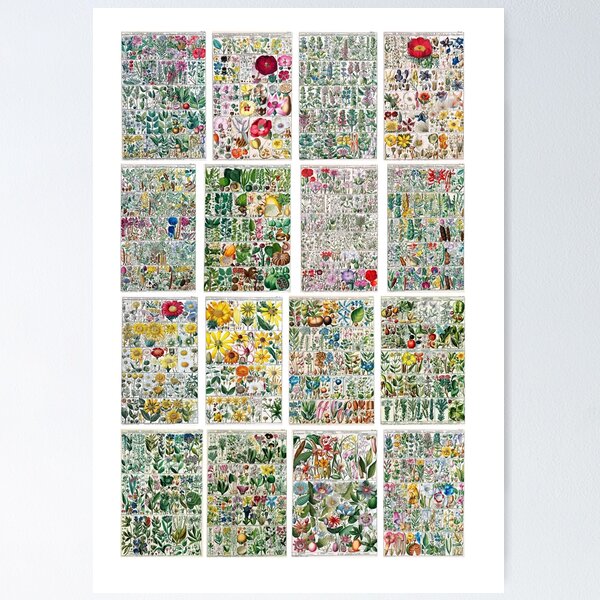 Item preview, Bright Delicate And Detailed Vintage Botanical Print Collection designed and sold by millie-and-inez.