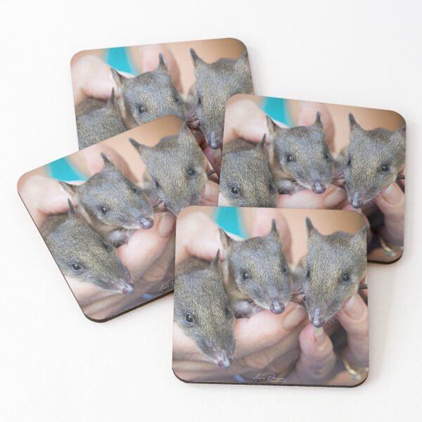 Item preview, A handful of baby Bandicoots designed and sold by DavePinsonPhoto.