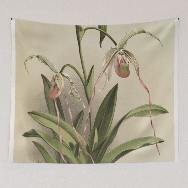 Item preview, Reichenbachia: Orchids Illustrated and Described designed and sold by EsotericBotanic.