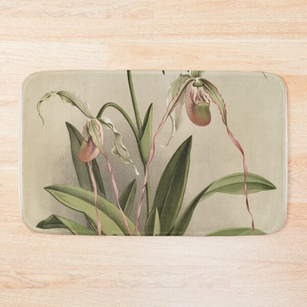 Item preview, Reichenbachia: Orchids Illustrated and Described designed and sold by EsotericBotanic.
