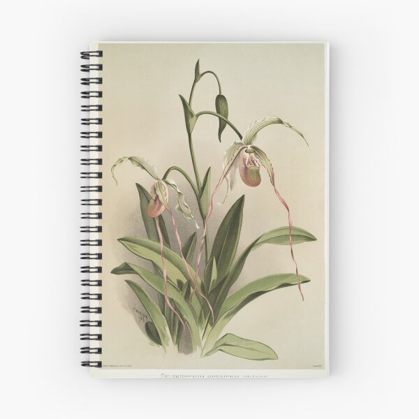 Item preview, Reichenbachia: Orchids Illustrated and Described designed and sold by EsotericBotanic.