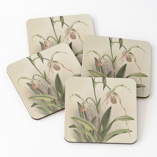 Item preview, Reichenbachia: Orchids Illustrated and Described designed and sold by EsotericBotanic.
