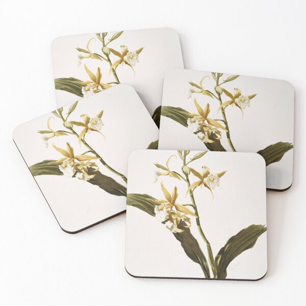 Item preview, Reichenbachia: Orchids Illustrated and Described designed and sold by EsotericBotanic.