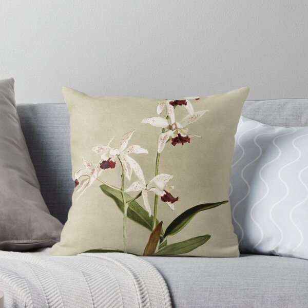 Item preview, Reichenbachia: Orchids Illustrated and Described designed and sold by EsotericBotanic.