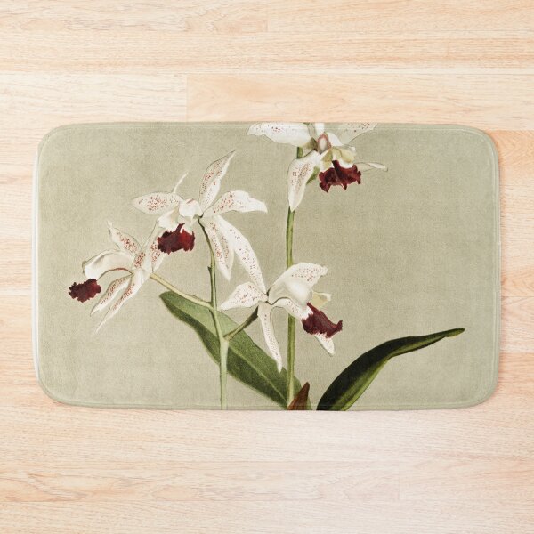 Item preview, Reichenbachia: Orchids Illustrated and Described designed and sold by EsotericBotanic.